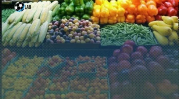 سعر الثوم اليوم الجمعة 31 أكتوبر 2025 يسجل أعلى مستويات الخضروات في الأسواق المصرية